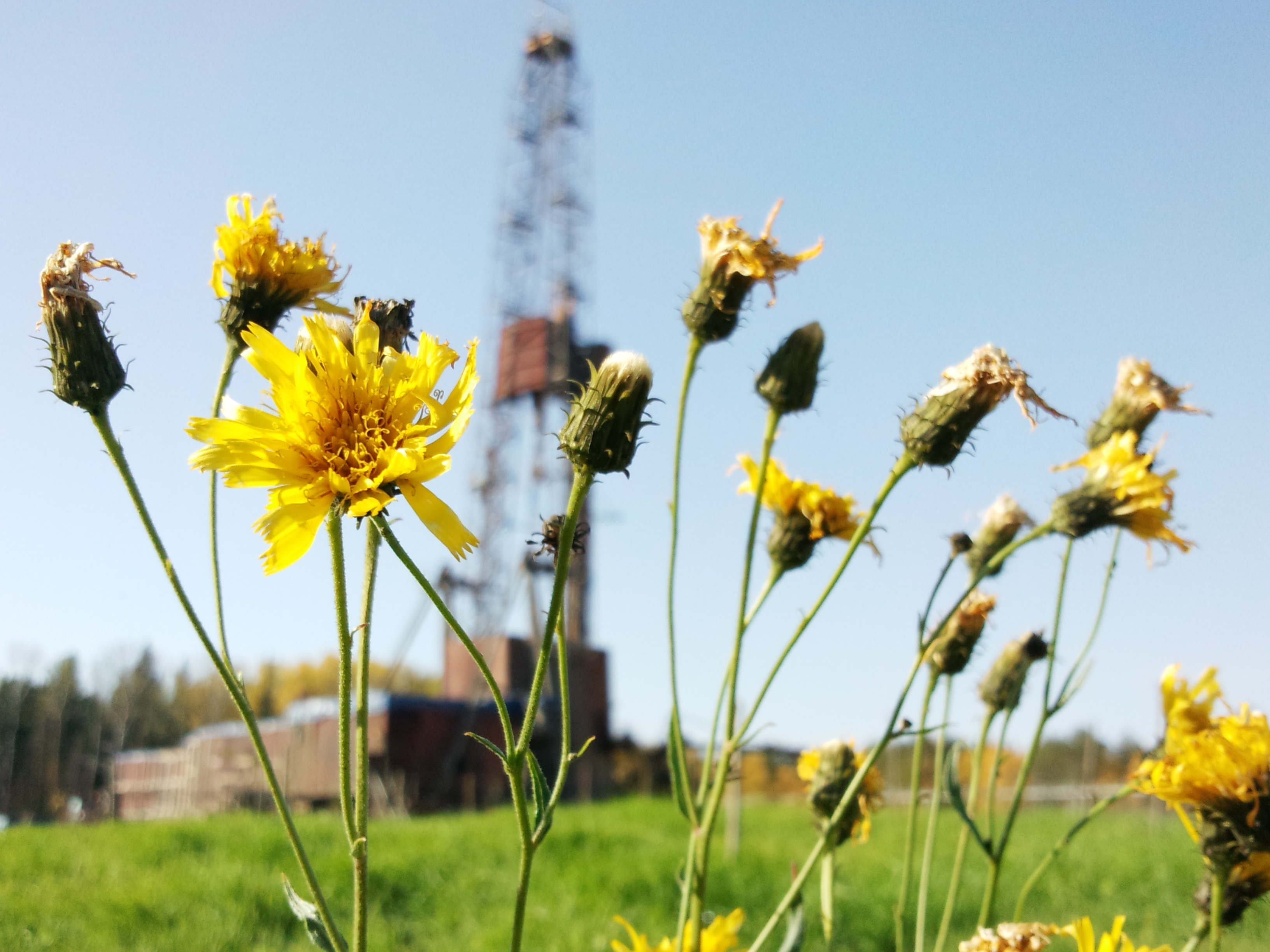 Рекорд суточной проходки